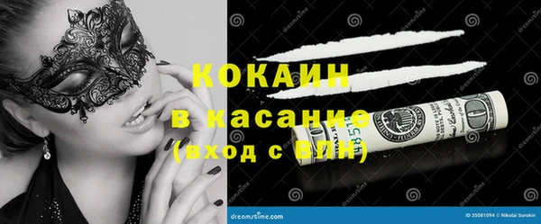 шишки Алзамай