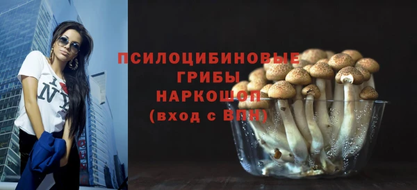 шишки Алзамай