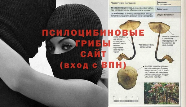 скорость Алексин