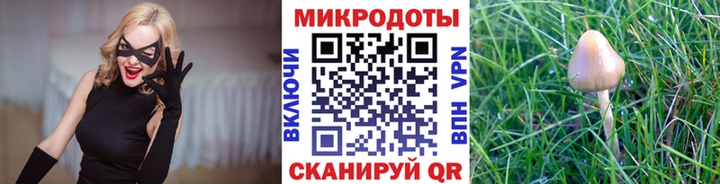 Псилоцибиновые грибы MAGIC MUSHROOMS  Купить закладки  Сергач 